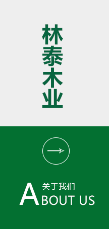 公司简介